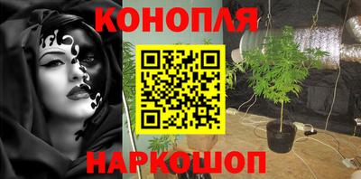 марихуана Новозыбков