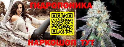 марихуана Новозыбков