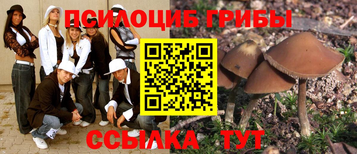 Тверь  Псилоцибиновые грибы ЛСД  купить наркоту  Галлюциногенные грибы ЛСД  Вход с VPN 