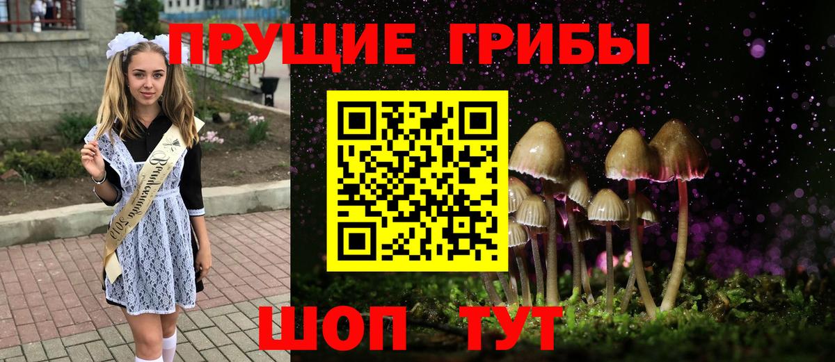 Псилоцибиновые грибы прущие грибы Тверь